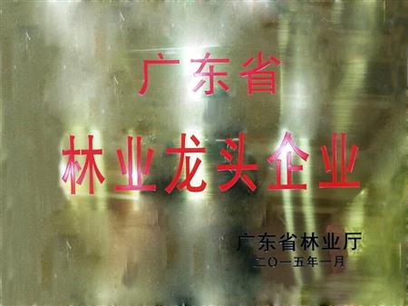    	         	2015年1月，紅古軒當(dāng)選為“廣東省林業(yè)龍頭企業(yè)”   